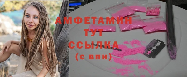 сатива Алзамай