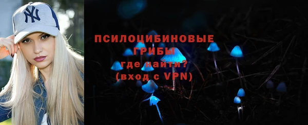 сатива Алзамай