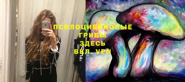 сатива Алзамай
