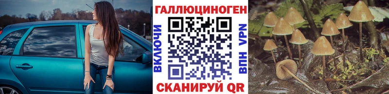 Галлюциногенные грибы Psilocybine cubensis  blacksprut   Елец  купить наркоту 